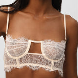 Obsession Lace and Mesh Bustier in Ivory